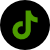 TikTok icon